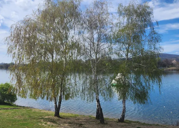 Riva Srebrno Jezero * Veliko Gradište